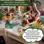 10QT Organic Horticultural Perlite for Plant Growth