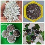 Coarse Perlite for Better Plant Growth and Drainage
