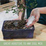 Perlite Soil Additive for Drainage and Growth 30Q