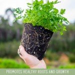 Perlite Soil Additive for Drainage and Growth 30Q