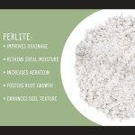 Perlite Soil Additive for Drainage and Growth 30Q