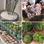 Coarse Perlite for Better Plant Growth and Drainage