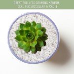 Perlite Soil Additive for Drainage and Growth 30Q