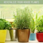 Perlite Soil Additive for Drainage and Growth 30Q