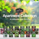 Indoor Hydroponic Garden Seeds for Small Spaces