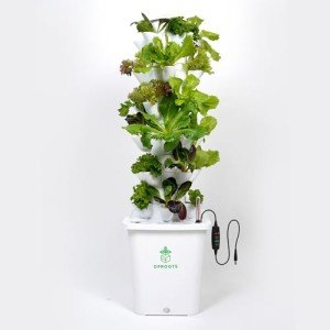 DPROOTS 30-Pod Hydroponic Vertical Garden System