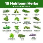15 Heirloom Culinary Herb Seeds for Gardening