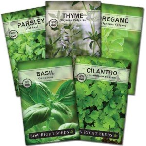 Hydroponic Herb Seed Collection for Indoor Gardens
