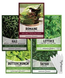 Hydroponic Seeds Variety Pack for Indoor/Outdoor Gardening