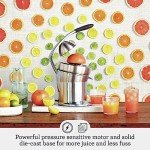 Breville 800CPXL Citrus Press Pro, One Size, Brushed Stainless Steel