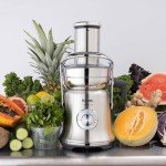 Breville Commercial Juice Fountain XL Pro, Brushed Stainless Steel, CJE830BSS1BNA1