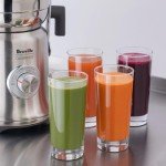 Breville Commercial Juice Fountain XL Pro, Brushed Stainless Steel, CJE830BSS1BNA1