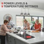 Electric Cooktop 24 Inch,Electric Stove 2 Burners 110V Built-in and Countertop Plug in 2400w,LED Touch Screen,9 Heating 9 Temperature,Overheat Protection,Kids Lock & Timer,Suitable for all Pans