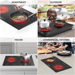 Electric Cooktop 24 Inch,Electric Stove 2 Burners 110V Built-in and Countertop Plug in 2400w,LED Touch Screen,9 Heating 9 Temperature,Overheat Protection,Kids Lock & Timer,Suitable for all Pans