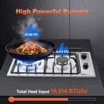 Eascookchef 2-Burner Gas Cooktop with Thermocouple Protection - NG/LPG Convertible 12" Stainless Steel Built-in Gas Stove Top for RV, Kitchen & Camping