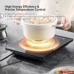 Portable Induction Cooktop, iSiLER 1800W Sensor Touch Electric Induction Cooker Hot Plate with Kids Safety Lock, 6.7" Heating Coil, 18 Power 17 Temperature Setting Countertop Burner with Timer