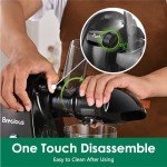 Slow Masticating Juicer,Brecious Cold Press Juicers with 2 Speed Modes & Quiet Motor,Juicers Machines Vegetable and Fruit with Reverse Function,Celery Juicer,BPA-Free,Easy to Clean (Black)