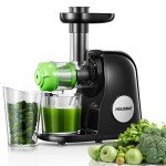 Juicer Machines, HOUSNAT Professional Celery Slow Masticating Juicer Extractor Easy to Clean, Cold Press Juicer with Quiet Motor and Reverse Function for Fruit & Vegetable, Brushes & Recipes Included