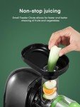 Juicer Machines, HOUSNAT Professional Celery Slow Masticating Juicer Extractor Easy to Clean, Cold Press Juicer with Quiet Motor and Reverse Function for Fruit & Vegetable, Brushes & Recipes Included