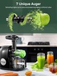 Juicer Machines, HOUSNAT Professional Celery Slow Masticating Juicer Extractor Easy to Clean, Cold Press Juicer with Quiet Motor and Reverse Function for Fruit & Vegetable, Brushes & Recipes Included