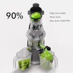 SiFENE Cold Press Juicer Machines, Big Mouth 83mm Opening Whole Slow Masticating Juicer, High Yield, Non-BPA (Gray)