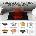 Electric Cooktop 2 Burners,110v Electric Stove Top,ANHANE Infrared Burner 12 Inch Built-in Double Induction Cooktop,20 Temperature,Compatible for All Cookware with Plug