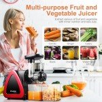 Cold Press Juicer, Aobosi Juicer Machine,Slow Masticating Juicers Machines with Reverse Function, Quiet Motor, High Juice Yield with Juice Jug & Brush for Cleaning (Red)