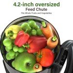 Cold Press Juicer Machines With 4.2" Wide Feed Chute, 250W Slow Masticating Juicer Fit Whole Vegetables and Fruits,Juice Extractor Machine With High Juice Yield, Easy to Clean(black)