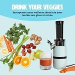 Tasty Slow Juicer, Compact Masticating Juicer with Pulp Separation, Maximum Juice Yield for Fresh, Nutrient-Rich Drinks, Easy Clean-Up & Compact Design, Aqua