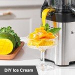 AMZCHEF Cold Press Juicer, Juicer Machines - 4.6" Large Feed Chute for Whole Fruits & Vegetables, Stainless Steel Slow Masticating Juicer Easy to Clean, Large Auger, Double Strainers, Silver