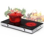 VBGK Electric Cooktop,110V 2400W Electric Stove Top with Knob Control,9 Power Levels, Kids Lock & Timer,LED touch control,Overheat Protection Electric stove,24 Inch desktop 2 burner
