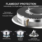 Gas Stove Gas Cooktop 2 Burners 12 Inch, ANHANE Portable Stainless Steel Built-in Gas Propane Cooktop, LPG/NG Dual Fuel Easy to Clean for RVs, Apartments, Outdoor