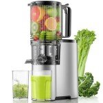 Cold Press Juicer, 5.8" Wide Feed Chute Juice Extractor Machine with 400W, High Juice Yield, Slow Masticating Juicer for Whole Vegetables & Fruits, Premium Grey