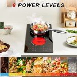 2 Burner Electric Cooktop 110v, 120v Plug In Electric Stove Top Burner, 12 Inch Built-in Radiant Electrics Stove, Countertop Ceramic Cooktop with Child Safety Lock, Timer, Over-Temperature Protection