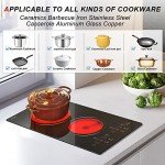 2 Burner Electric Cooktop 110v, 120v Plug In Electric Stove Top Burner, 12 Inch Built-in Radiant Electrics Stove, Countertop Ceramic Cooktop with Child Safety Lock, Timer, Over-Temperature Protection