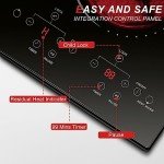 2 Burner Electric Cooktop 110v, 120v Plug In Electric Stove Top Burner, 12 Inch Built-in Radiant Electrics Stove, Countertop Ceramic Cooktop with Child Safety Lock, Timer, Over-Temperature Protection