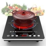 VBGK Electric Cooktop,110V Electric Stove Top,Single Burner Cooktop LED Touch Control,9 Power Levels, Kids Lock &Timer,Overheat Protection,1800W Portable Induction Burner.