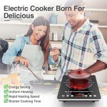 VBGK Electric Cooktop,110V Electric Stove Top,Single Burner Cooktop LED Touch Control,9 Power Levels, Kids Lock &Timer,Overheat Protection,1800W Portable Induction Burner.