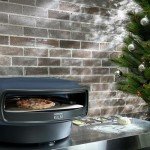 Everdure KILN R Series 2-Burner Gas Pizza Oven - 16” Restaurant Quality Pizza in Under 2 Minutes - Backyard, Portable Pizza Oven for Families, Entertainers & Pizza Enthusiasts, Cooks More Than Pizza