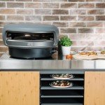 Everdure KILN R Series 2-Burner Gas Pizza Oven - 16” Restaurant Quality Pizza in Under 2 Minutes - Backyard, Portable Pizza Oven for Families, Entertainers & Pizza Enthusiasts, Cooks More Than Pizza