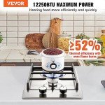 VEVOR 12 inch 2 Burners Cooktop Max 12250BTU Built-in Stainless Steel Stove Top LPG/NG Convertible Dual Fuel Natural Gas Hob with Thermocouple Protection for Outdoor, Kitchen, Camping, RV