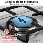 VEVOR 12 inch 2 Burners Cooktop Max 12250BTU Built-in Stainless Steel Stove Top LPG/NG Convertible Dual Fuel Natural Gas Hob with Thermocouple Protection for Outdoor, Kitchen, Camping, RV