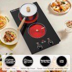 Electric Cooktop,110V 2400W Electric Stove Top with Knob Control, 11 Power Levels, Kids Lock & Timer, Hot Surface Indicator, Overheat Protection,Built-in and Countertop 2 Burner Electric Cooktop