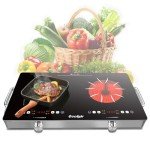 Cooksir 2 Burner Electric Cooktop - 24 Inch Portable Electric Stove Top 110V, 2000W Countertop Double Burner Ceramic Cooktop with LCD Control Panel, Child Lock, Timer, Knob Control with Outlet Plug