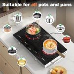 Cooksir 2 Burner Electric Cooktop - 24 Inch Portable Electric Stove Top 110V, 2000W Countertop Double Burner Ceramic Cooktop with LCD Control Panel, Child Lock, Timer, Knob Control with Outlet Plug