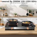 2 Burner Electric Cooktop 24 Inch Electric Stove, Nefaracy 2000W Portable electrical Stove with Handle, 9 Power Settings, Senor Touch & Knob Control, Safety Lock, Timer, 110-120V Plug in