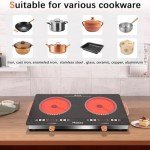 2 Burner Electric Cooktop 24 Inch Electric Stove, Nefaracy 2000W Portable electrical Stove with Handle, 9 Power Settings, Senor Touch & Knob Control, Safety Lock, Timer, 110-120V Plug in