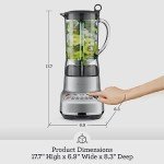 Breville BBL620SIL Fresh and Furious Blender, Silver