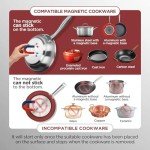 ChangBERT Portable Induction Cooktop, NSF Certified Pro Induction Hot Plate, Powerful 1800W with Large 8" Heating Coil, 18/10 Stainless Steel, 18 Temp Settings Commercial Grade Countertop Burner