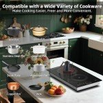 Electric Cooktop 2 Burners 110V~120V, 12'' Plug in Electric Stove Top,Countertop or Built-in,Ceramic Glass,Sensor Touch Control,Timer,9 Power Levels,Portable,1800W